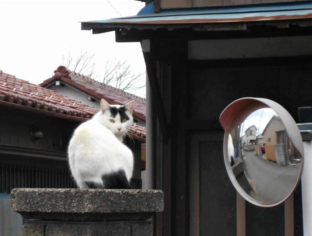 2021年2月8日