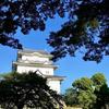 小田原城(フリー素材より)