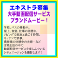大手動画配信サービス ブランドムービーEX募集