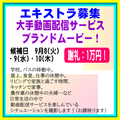 大手動画配信サービス ブランドムービーEX募集