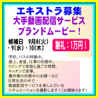 大手動画配信サービス ブランドムービーEX募集