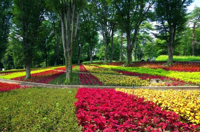 埼玉県比企郡の風景＜国営武蔵丘陵森林公園＞(フリー素材より)