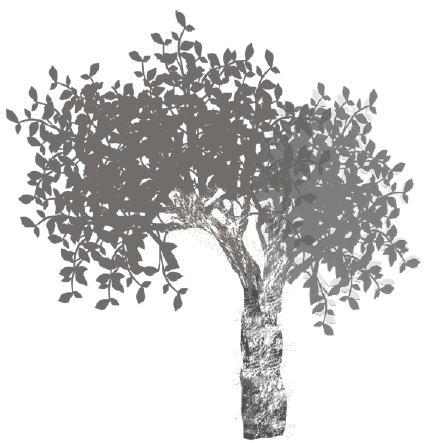イメージ画像(TREE)