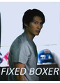 FIXED BOXER