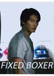 fixed_boxer_s.png