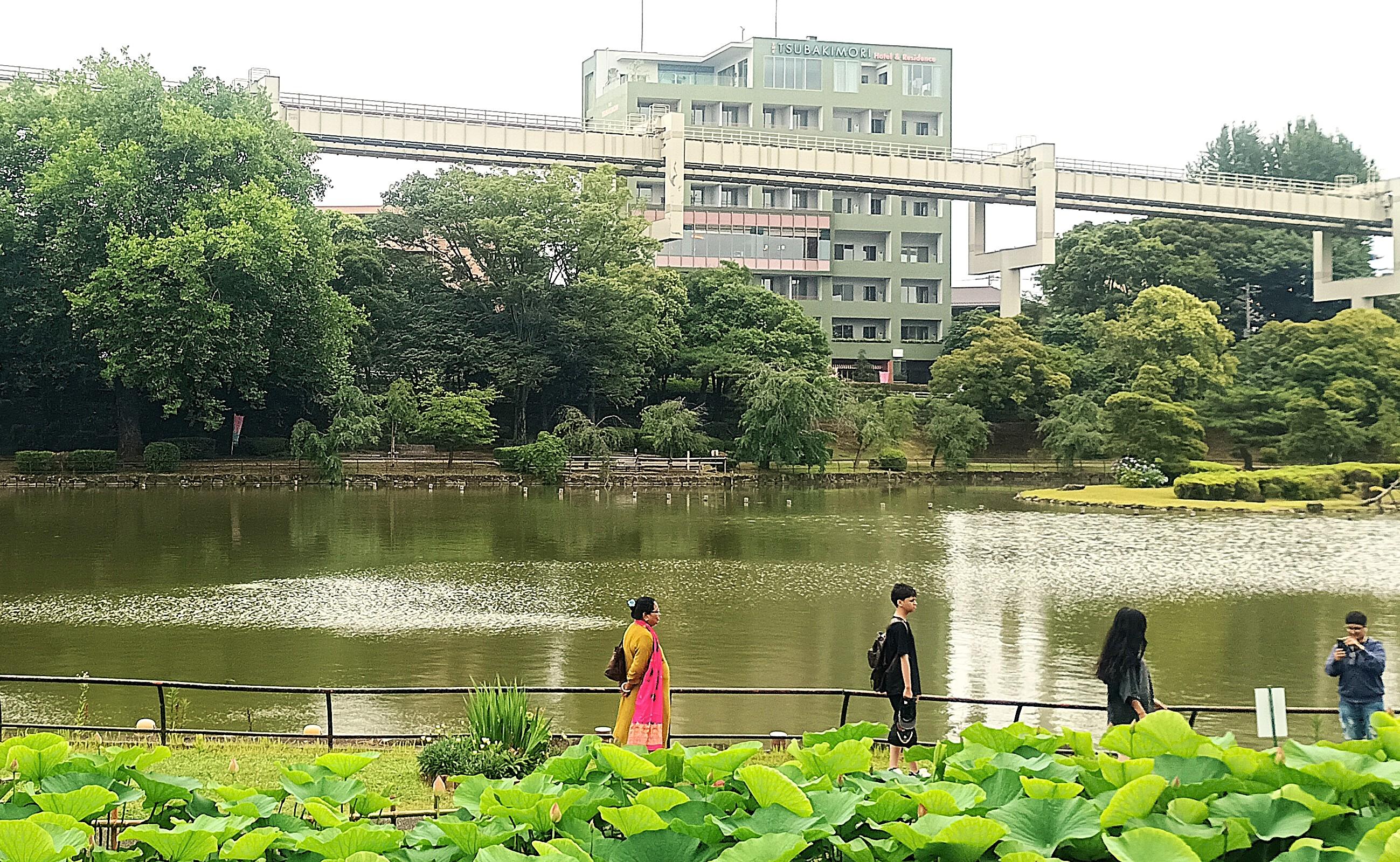 椿森ホテル＆レジデンス。目の前に千葉公園の大池。そのさらに手前は「大賀ハス」の池。
