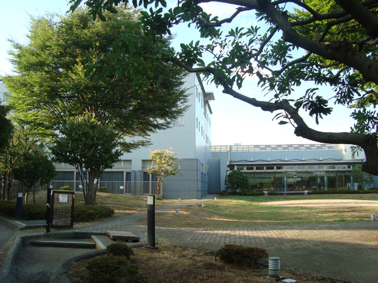 川崎国際交流センター 開放的な庭園